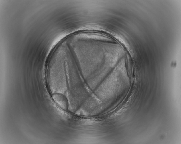 X0000089920990200707201814