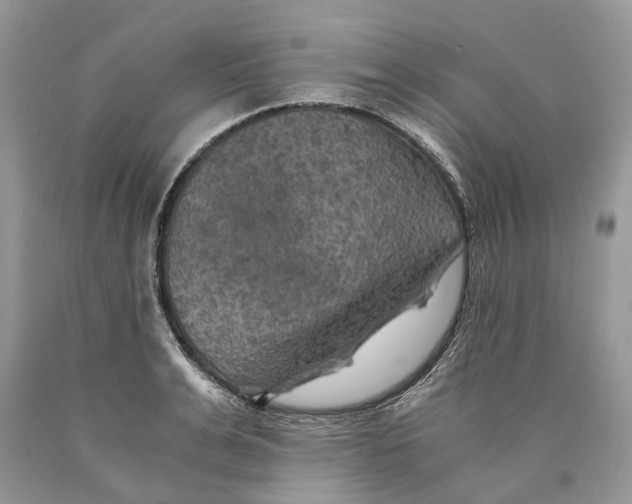 X0000089920991200707201814