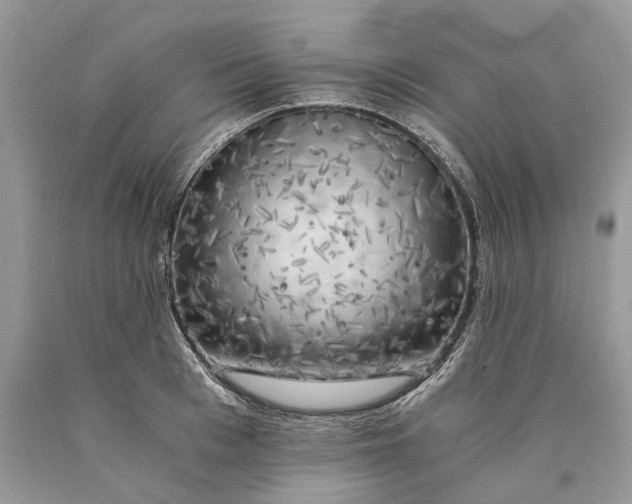 X0000089920993200707201814