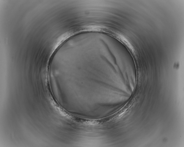 X0000089920994200707201814