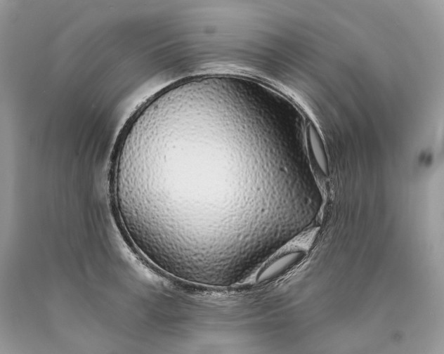 X0000089920995200707201814