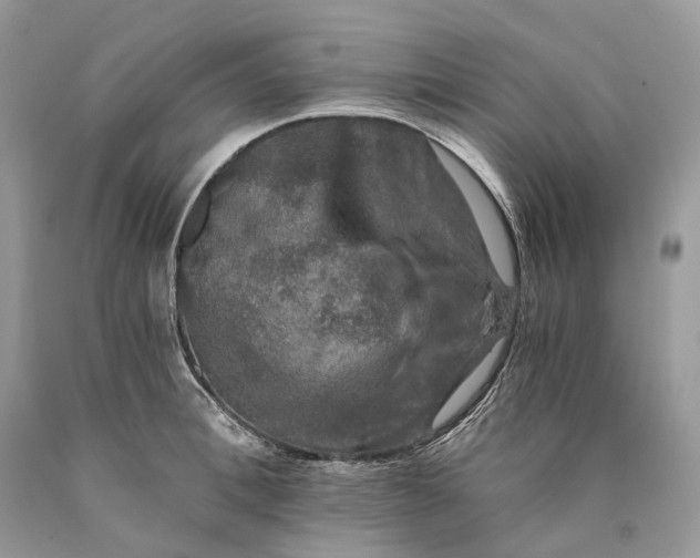 X0000089920996200707201814