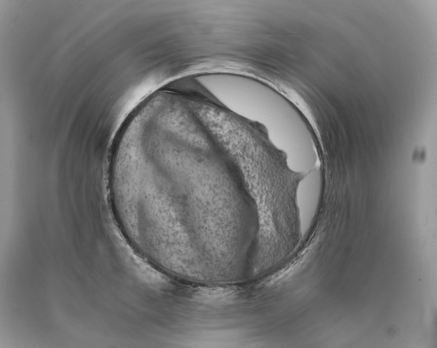 X0000089920997200707201814