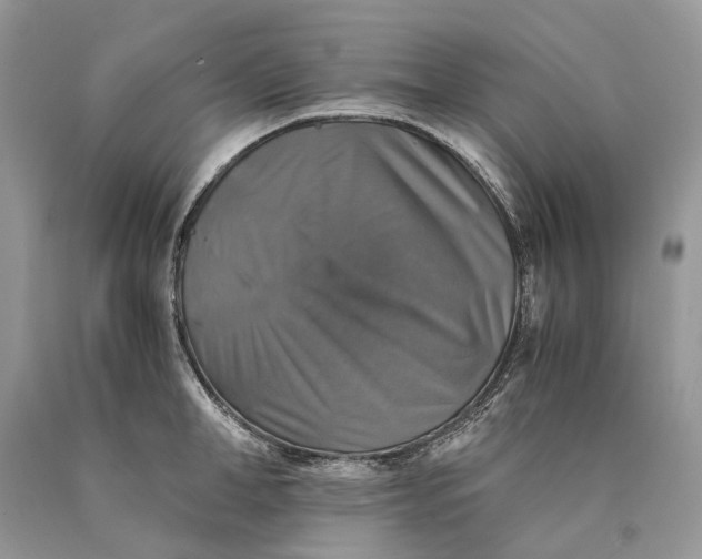 X0000089920998200707201814