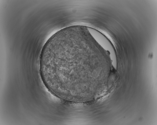 X0000089920999200707201814