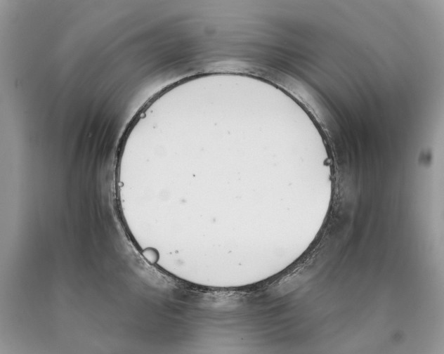 X0000089921000200707201814