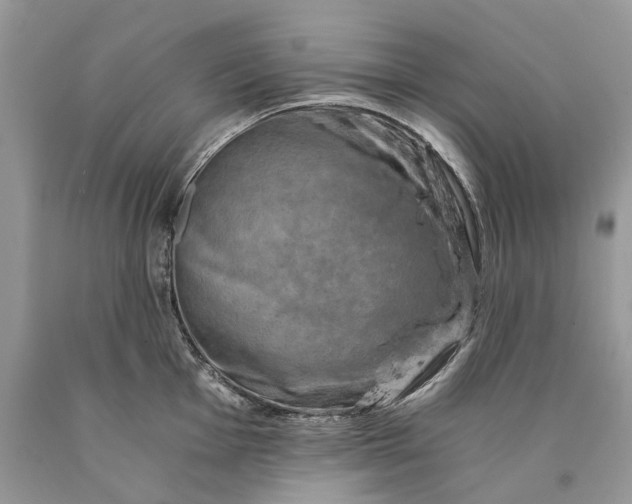 X0000089921001200707201814