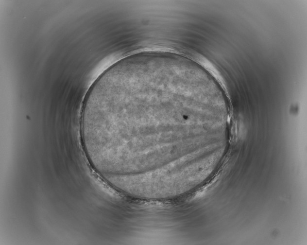 X0000089921002200707201814