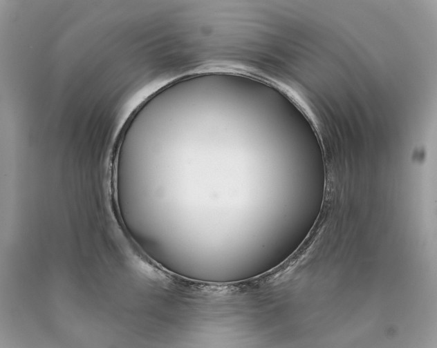 X0000089921003200707201814