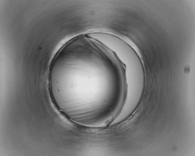 X0000089921005200707201814