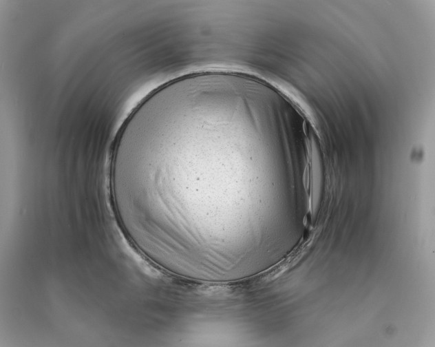 X0000089921006200707201814