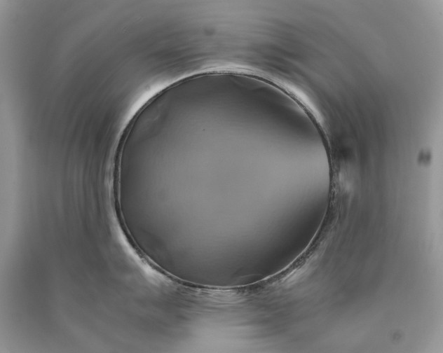 X0000089921007200707201814
