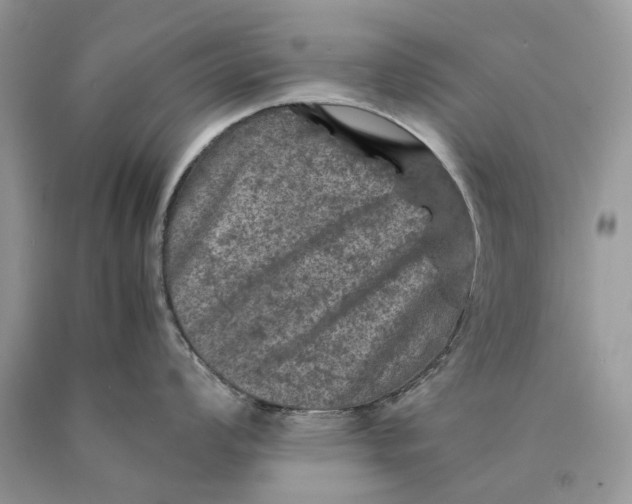 X0000089921008200707201814