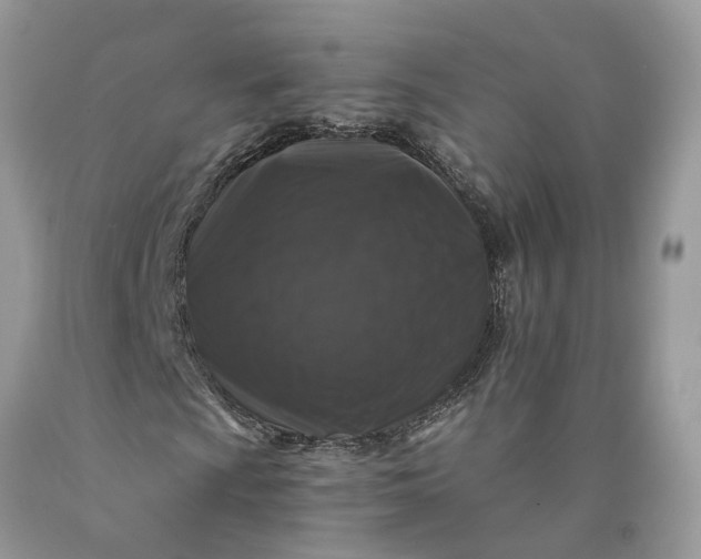 X0000089921009200707201813