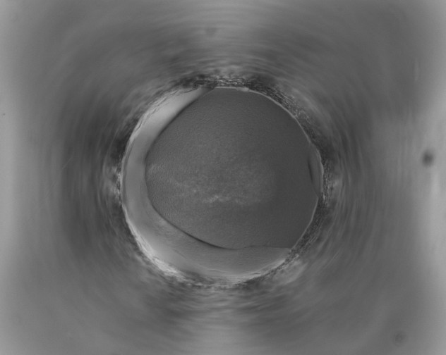 X0000089921010200707201813
