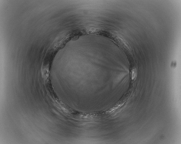 X0000089921011200707201813
