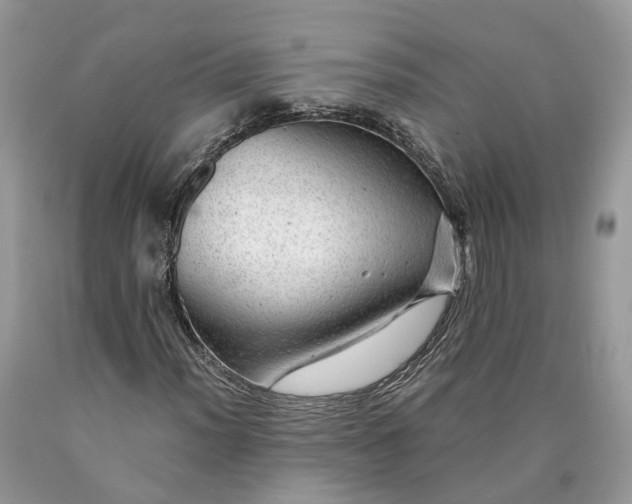 X0000089921012200707201813