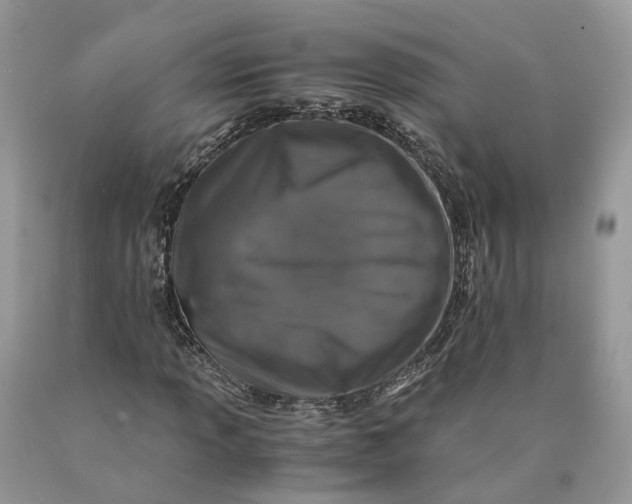 X0000089921013200707201813