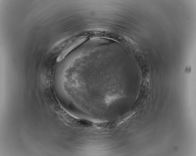 X0000089921014200707201813