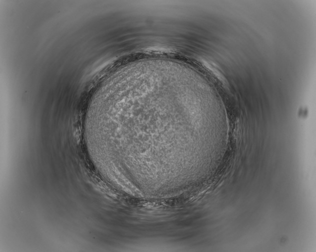 X0000089921015200707201813
