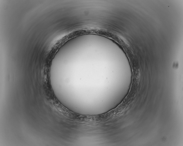 X0000089921016200707201813