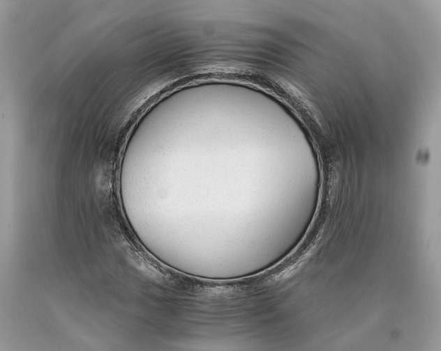 X0000089921017200707201813