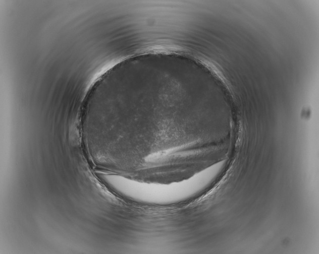 X0000089921018200707201813