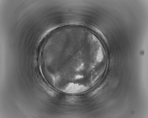 X0000089921019200707201813
