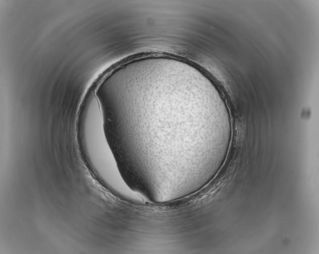 X0000089921020200707201813