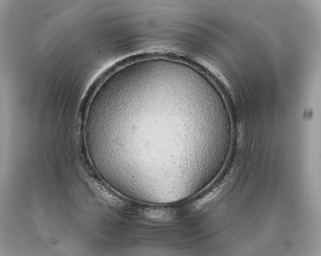 X0000089921021200707201813