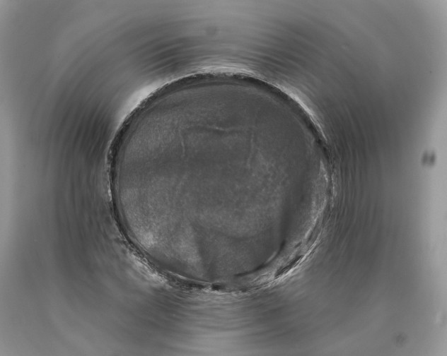 X0000089921022200707201813