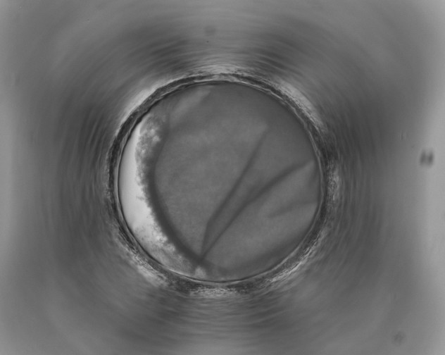 X0000089921023200707201813