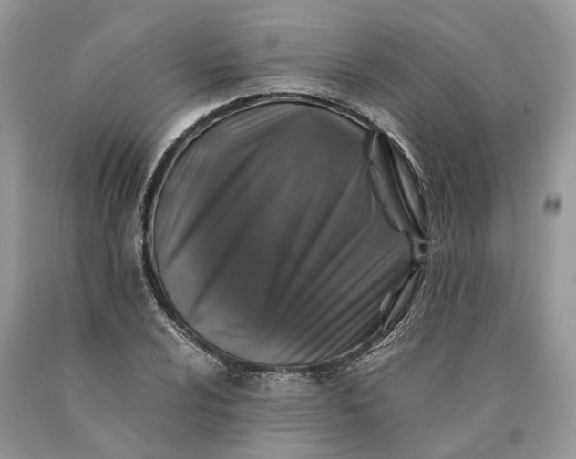 X0000089921024200707201813