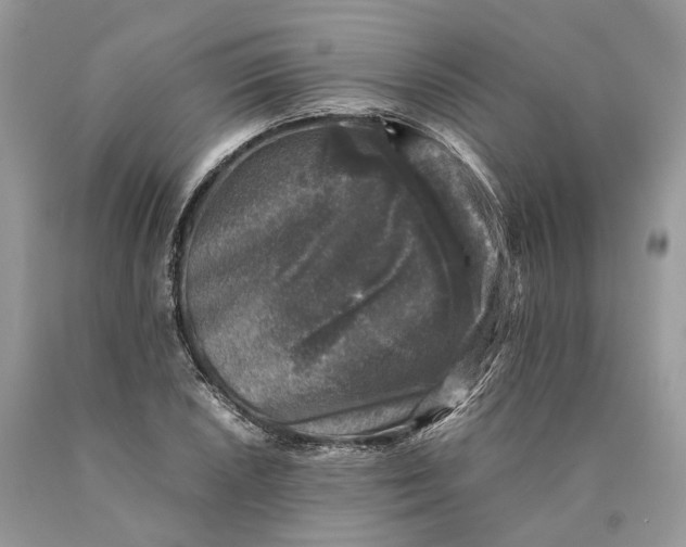 X0000089921026200707201814