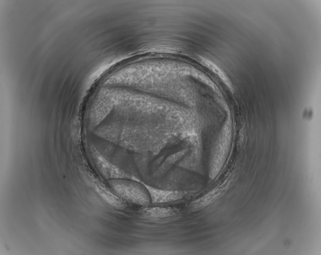 X0000089921027200707201814