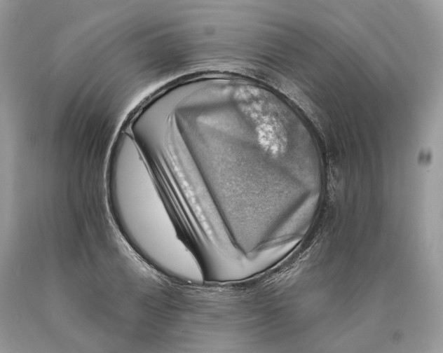 X0000089921028200707201814