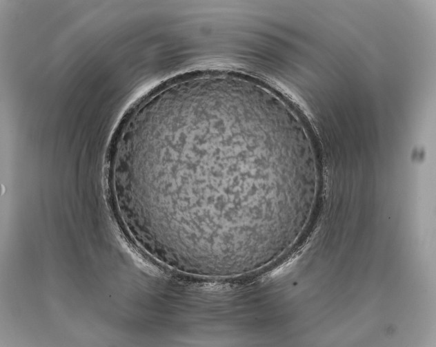 X0000089921029200707201814
