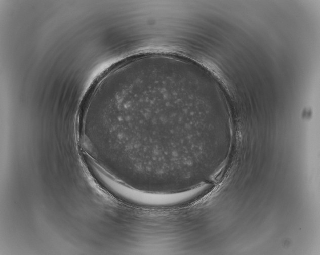 X0000089921030200707201814
