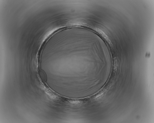 X0000089921031200707201814