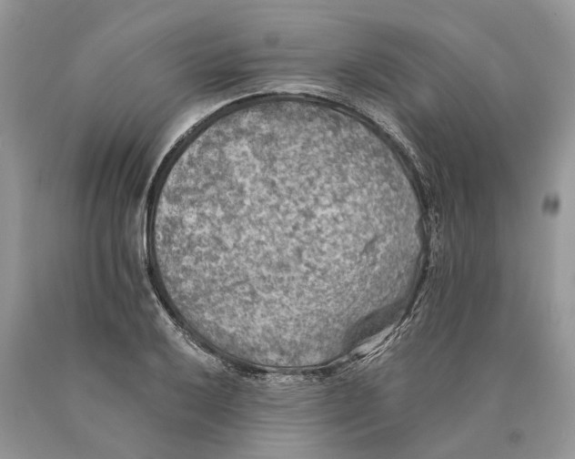 X0000089921032200707201814