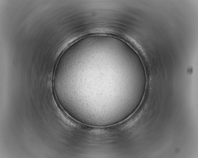 X0000089921033200707201814