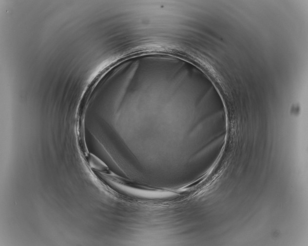 X0000089921034200707201814