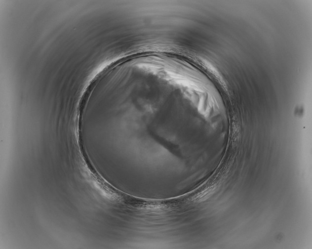 X0000089921035200707201814