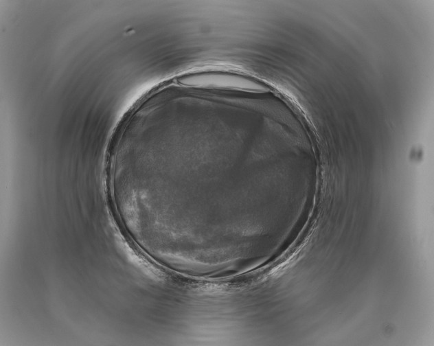 X0000089921038200707201814