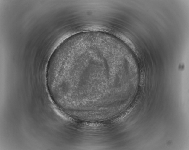X0000089921039200707201814