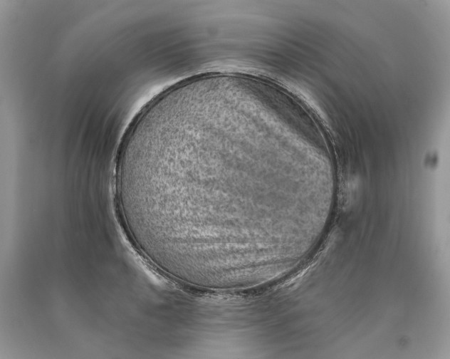 X0000089921040200707201814