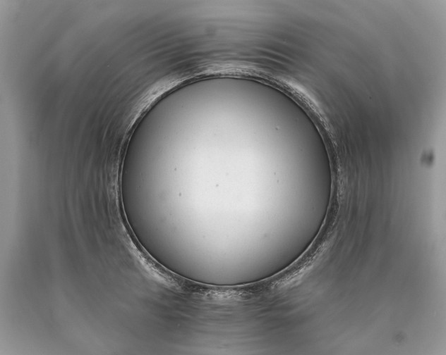 X0000089921041200707201814