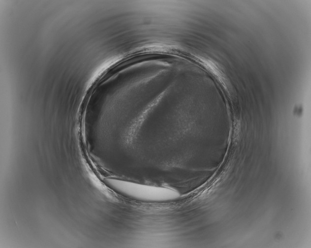 X0000089921042200707201814