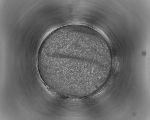 X0000089921043200707201814