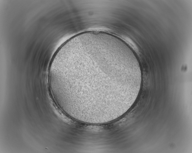 X0000089921044200707201814